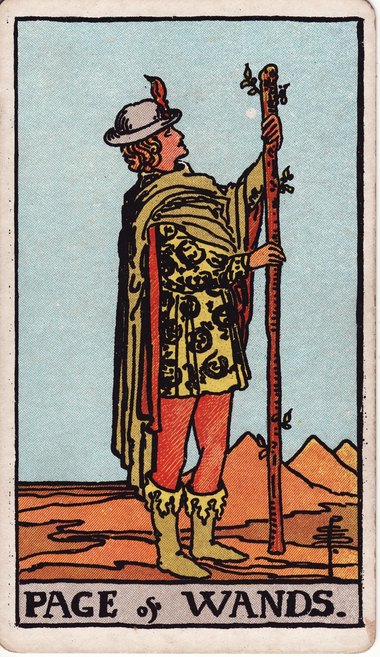 Page of Wands, from the 1909 Waite-Smith tarot drawn by Pamela Colman Smith